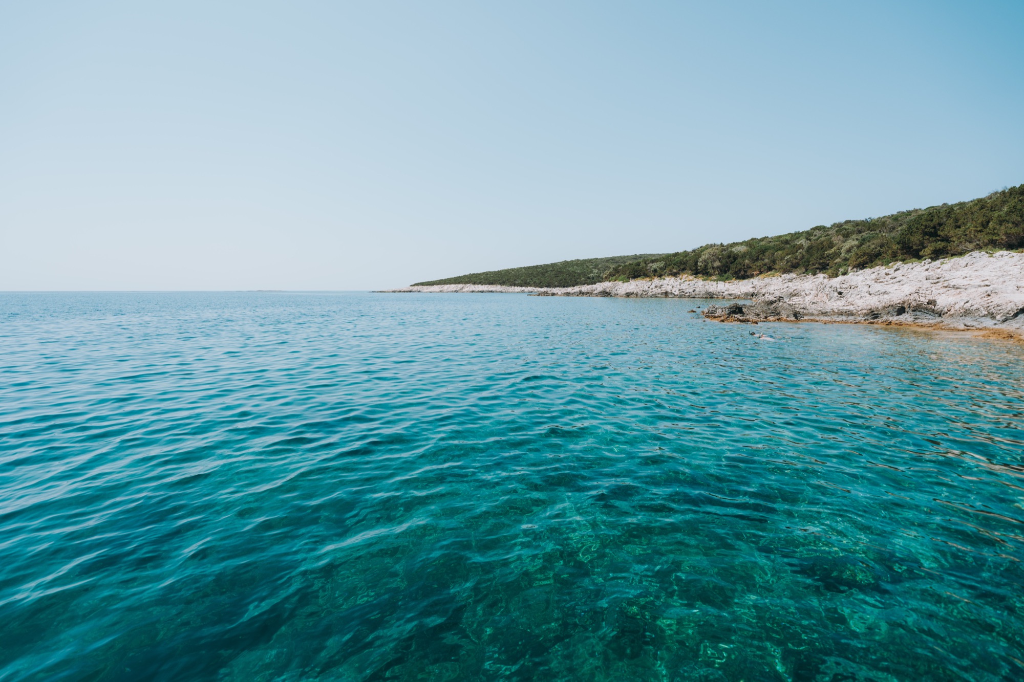 The wooded, rocky coast of Premuda above clear turquoise water