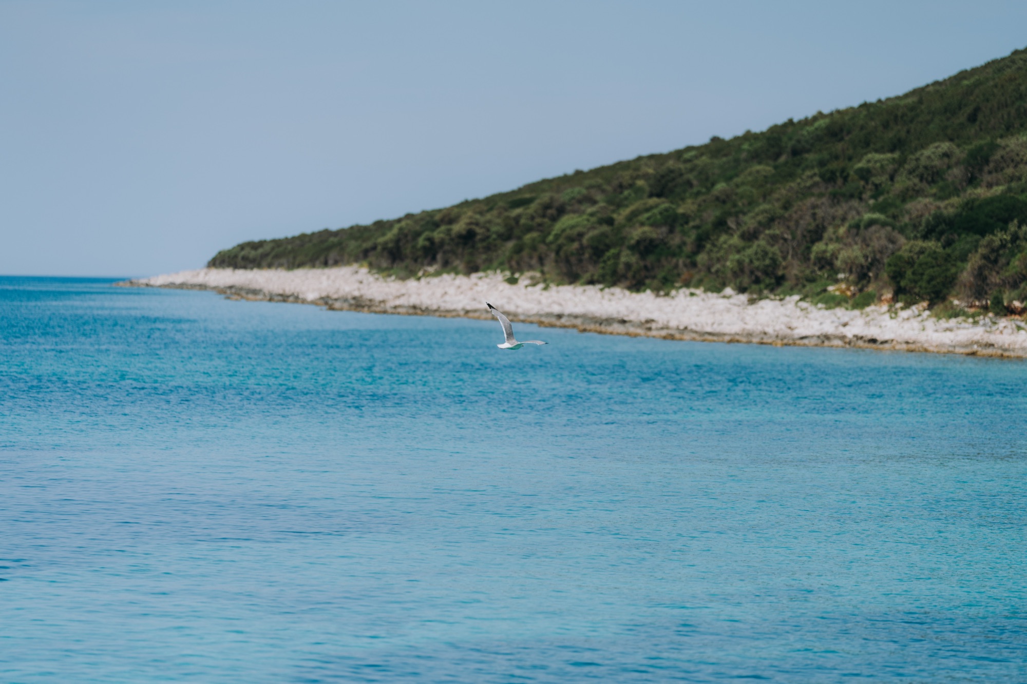 Bays & beaches — Premuda, Kroatien (4)